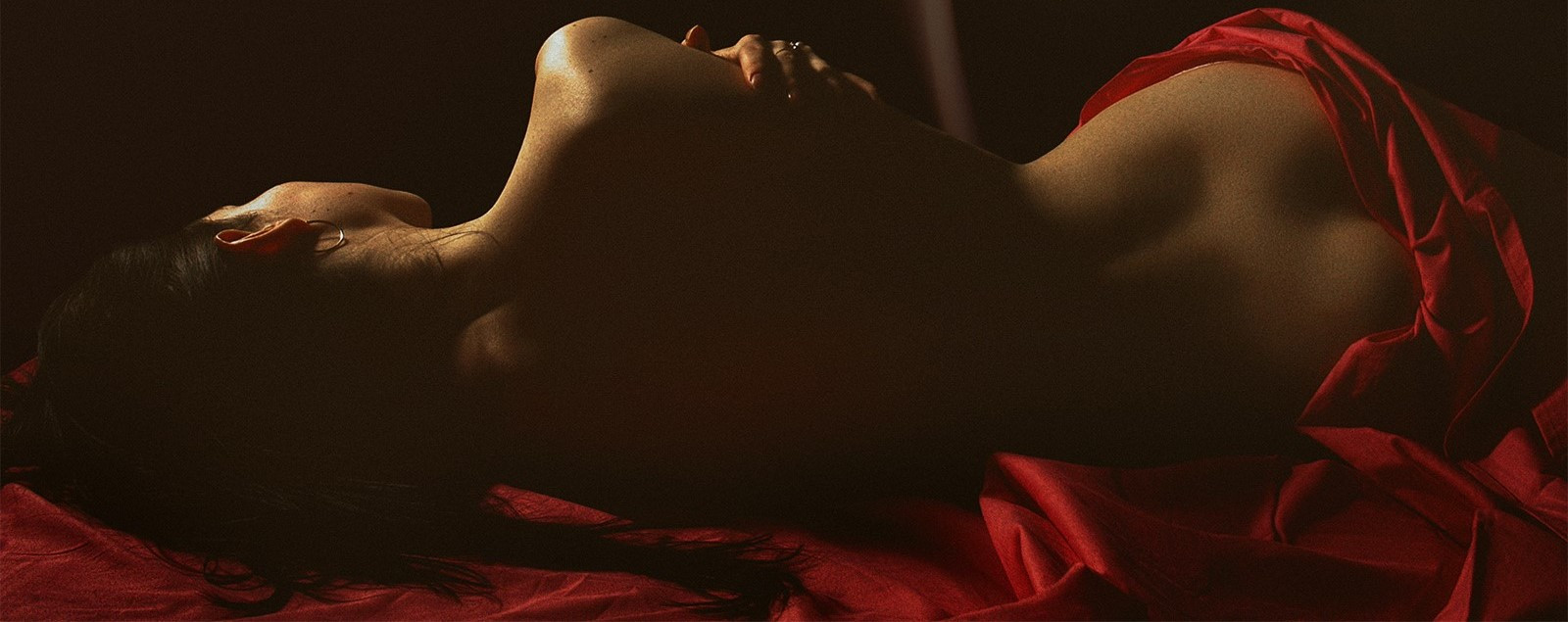 Lien vers la page de l'initiation d'une oie blanche